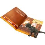 LIVRO MUNDO DOS DINOSSAUROS + BRINQUEDO T-REX COLECIONÁVEL ARTICULADO E REALISTA - Imagem 4