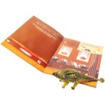 LIVRO MUNDO DOS DINOSSAUROS + BRINQUEDO ANQUILOSSAURO COLECIONÁVEL ARTICULADO E REALISTA - Imagem 6